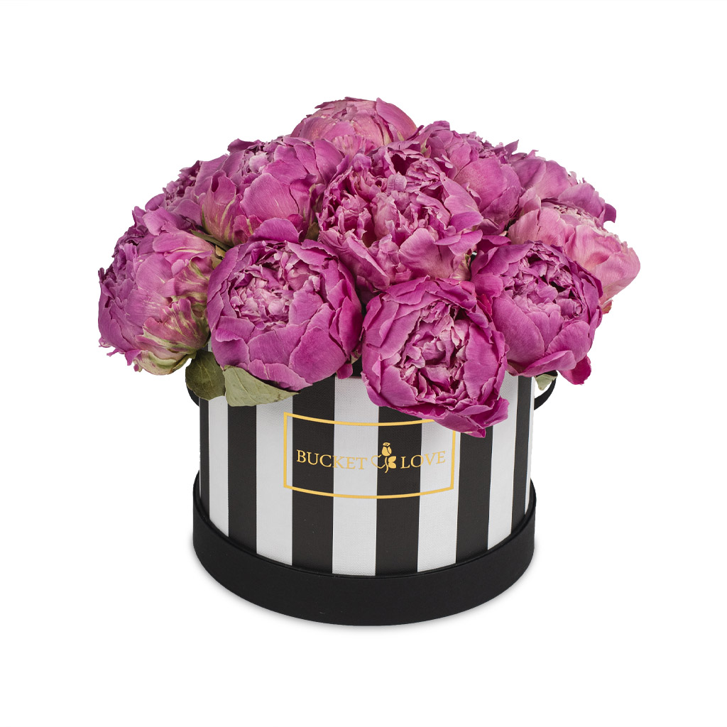 Magic_Bucket-of-Love_3_100 Magic (forever roses)