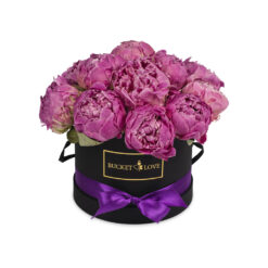 Purple Peonies