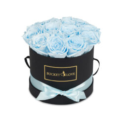 Sky Blue (forever roses)